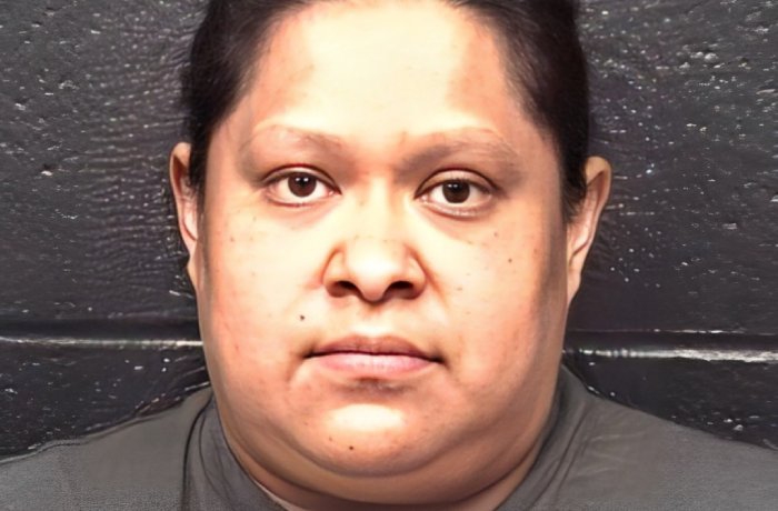 MUJER QUIERE ARMAR SU CARNITA ASADA; ROBA MÁS DE MIL DÓLARES EN FAJITA