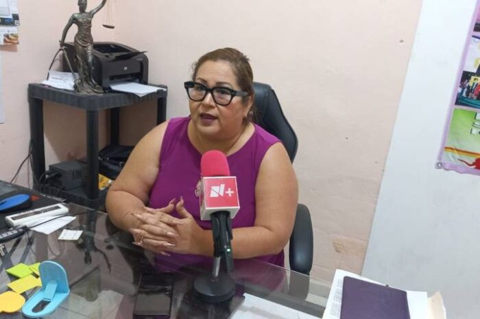 En Tamaulipas la protección a mujeres es una estrategia fallida: activista