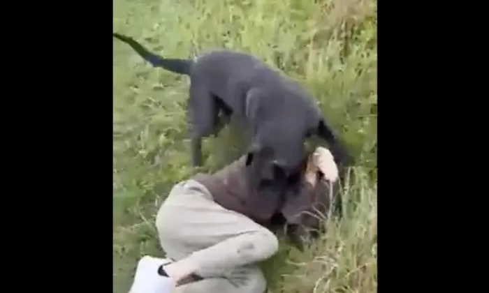 Hombre se cita por internet con niña de 12 años y así lo recibe su papá