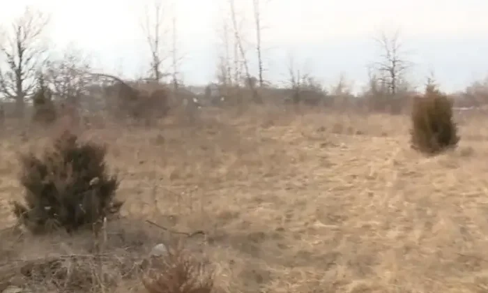 Mujer creía que la seguían y terminó congelada junto con sus hijos en un parque