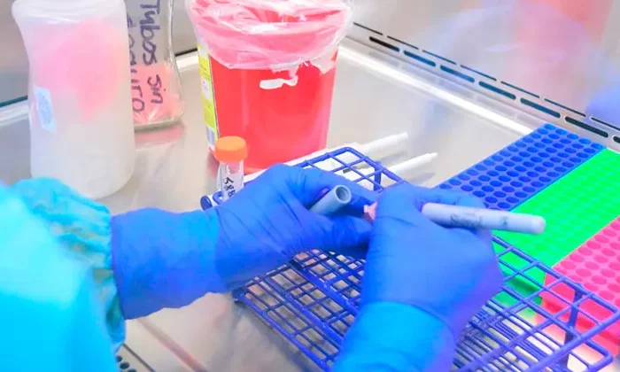 Notifican solo 16 contagios de Covid-19 en Tamaulipas