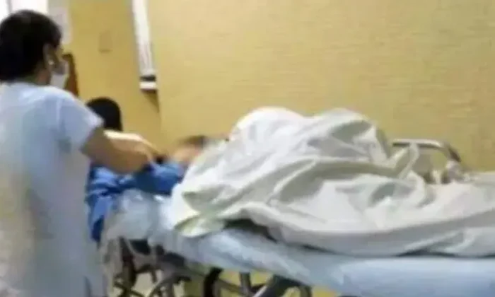 Emiten alerta por el aumento de casos de rabia en México