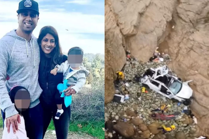 Hombre se lanza en su Tesla junto a su familia; todos sobreviven