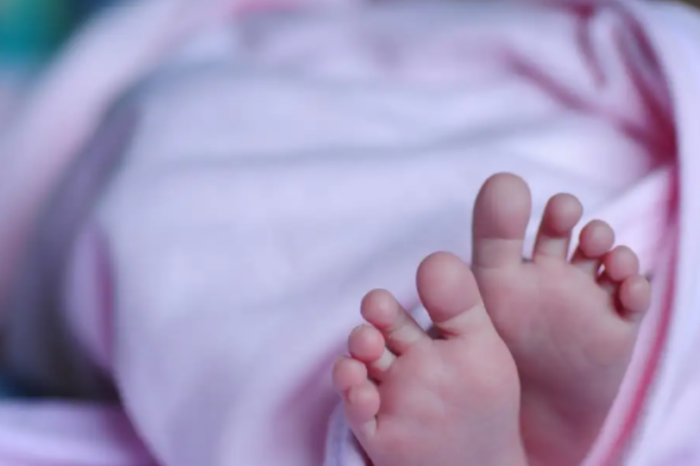 Regios podrán decidir el orden de los apellidos de sus hijos