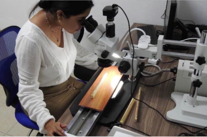 Incrementa UAT ingreso de docentes al Sistema Nacional de Investigadores