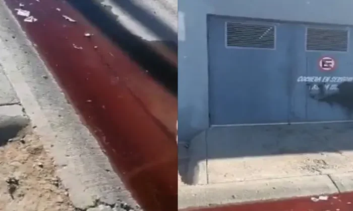 Captan terrorífico río de aguas negras con sangre en Sinaloa