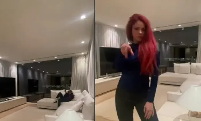 Shakira levantaría una barda en su casa para no encontrarse con su ex suegra