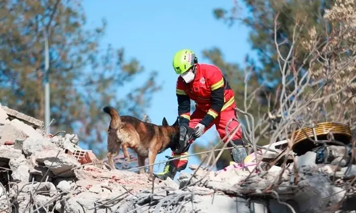 Dos mexicanos resultaron afectados por el terremoto en Turquía; van 19 mil personas fallecidas