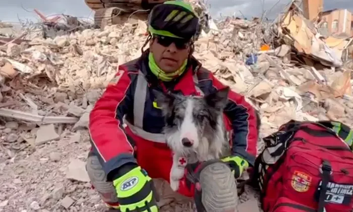 Balam, perrito rescatista de México, ya salvó a una persona tras sismo de Turquía￼