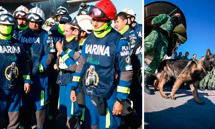 Llega ayuda de México a Turquía tras los terremotos￼