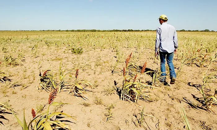 Alarma: agua de presas se evapora rápido