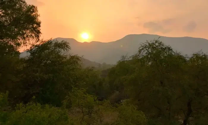 ¡No guardes el ventilador! seguirá el calor en Tamaulipas￼