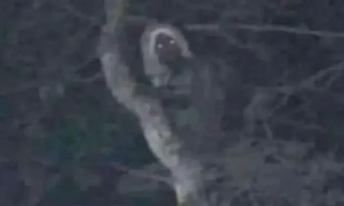 AMLO comparte inquietante fotografía de un tramo del tren maya￼