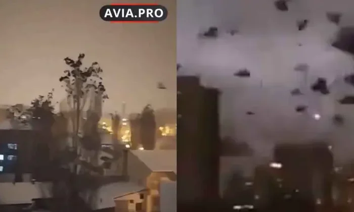 Video: Aves se comportaron de forma extraña previo al terremoto en Turquía