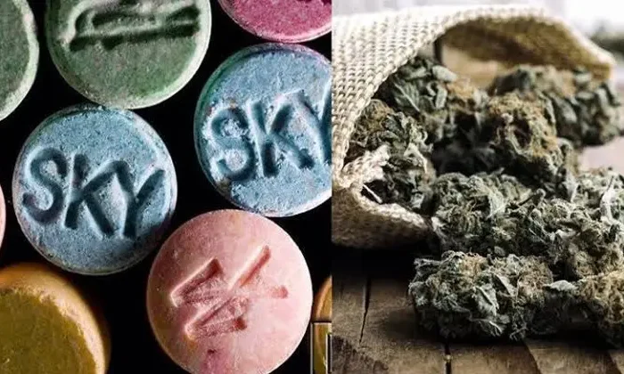 Tamaulipas líder en consumo de marihuana y segundo lugar en éxtasis