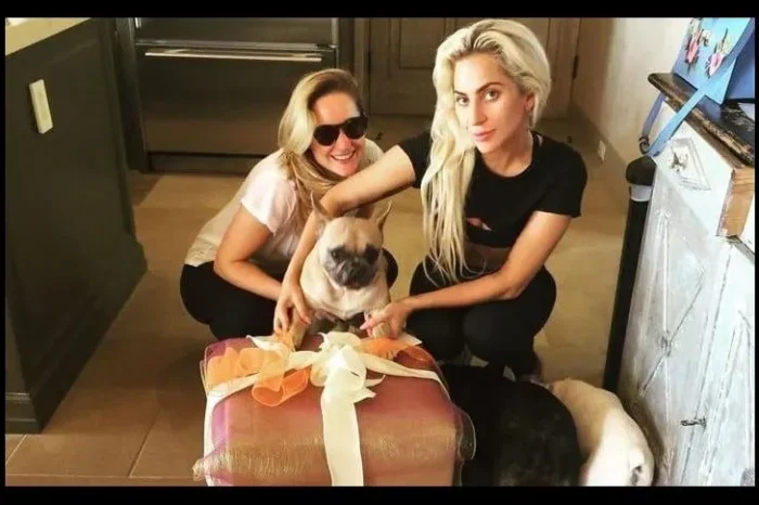 Secuestradora de los perros de Lady Gaga la demanda ¡porque no le pagó recompensa!￼