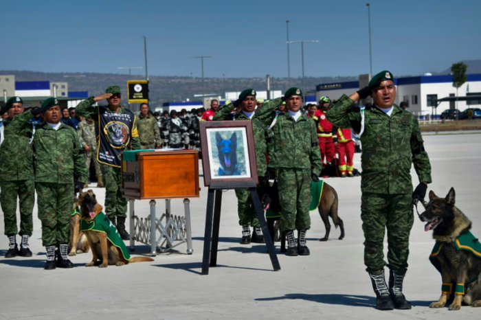 Proteo regresa a México y es despedido por la Sedena