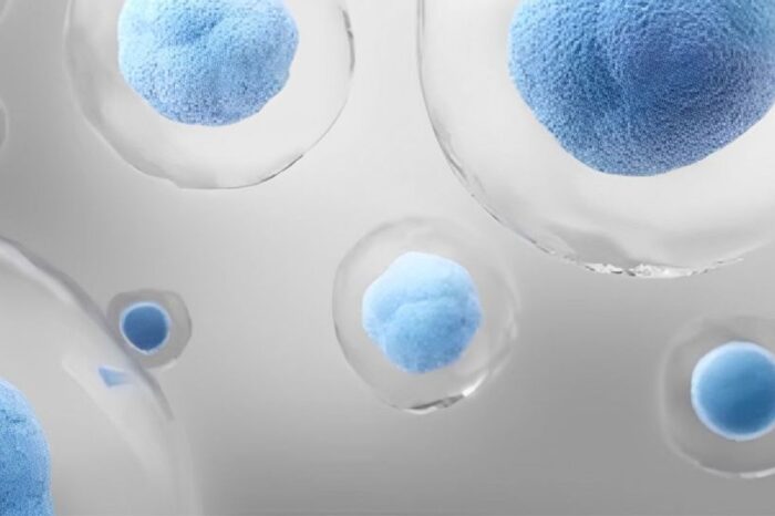 Hombre alemán  se curó de VIH al recibir células madre