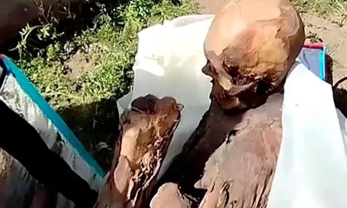Repartidor cargaba una momia en una hielera; “es mi novia”, dijo￼