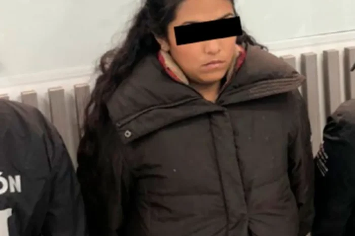 Asesina a su tía para quedarse con su terreno