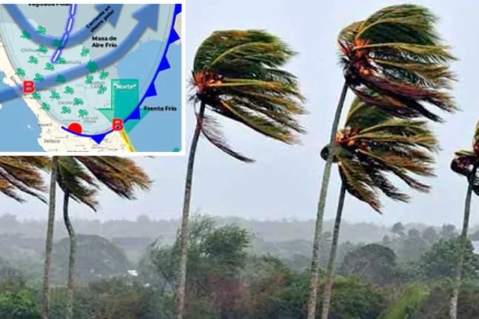 Llega ‘nortazo’ el jueves a Tamaulipas: SMN￼