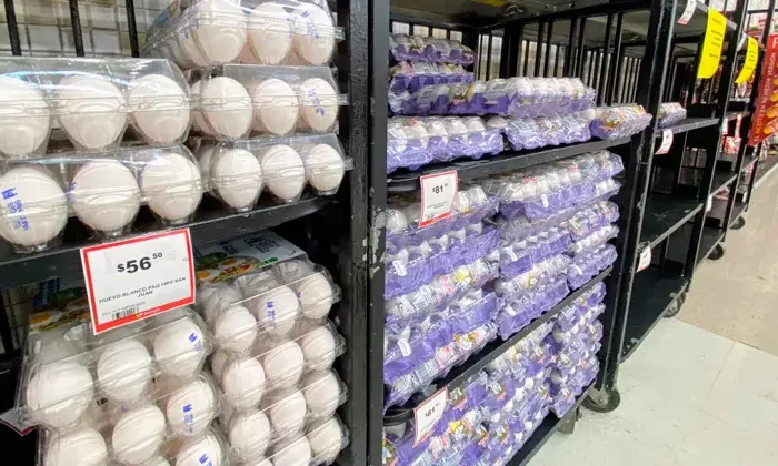 Proyectan que comenzará a bajar el precio del huevo￼