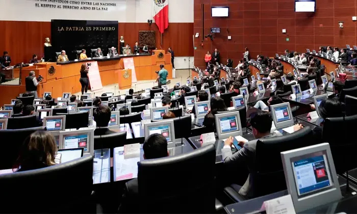 Senado le pedirá informes a la Sedena sobre el caso Matamoros￼