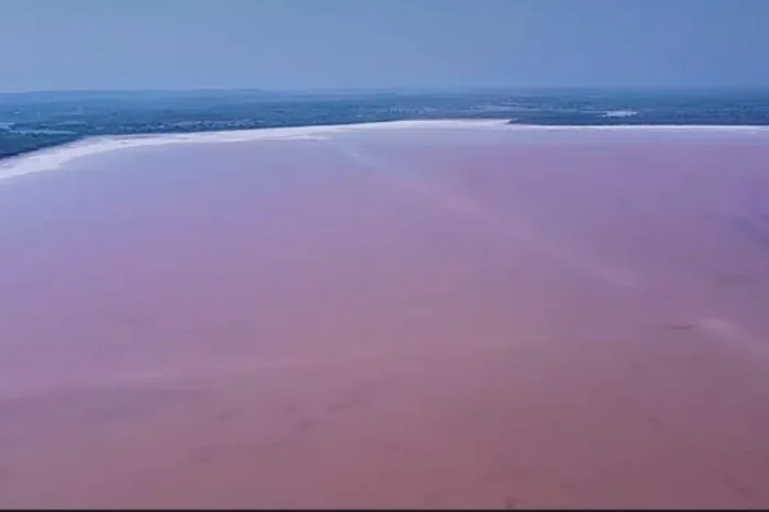 Tamaulipas también tiene laguna rosa