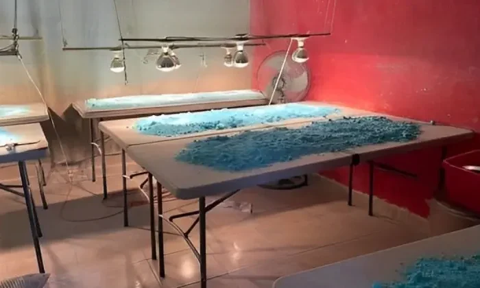 En México no se produce fentanilo, sólo se “troquela”: AMLO a Estados Unidos