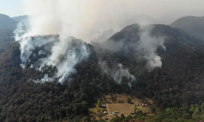 Tamaulipas suma tres incendios forestales￼