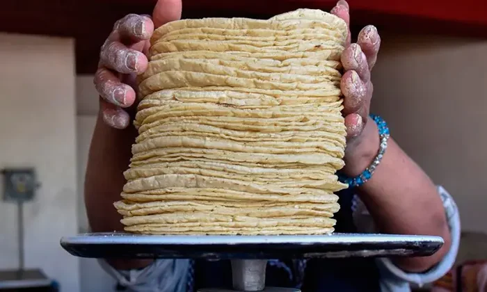 Suben tortilla a $28