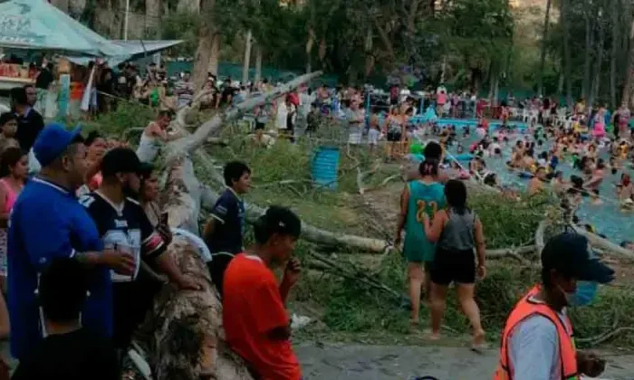 Muere bebé tras caída de un árbol en balneario de Guanajuato