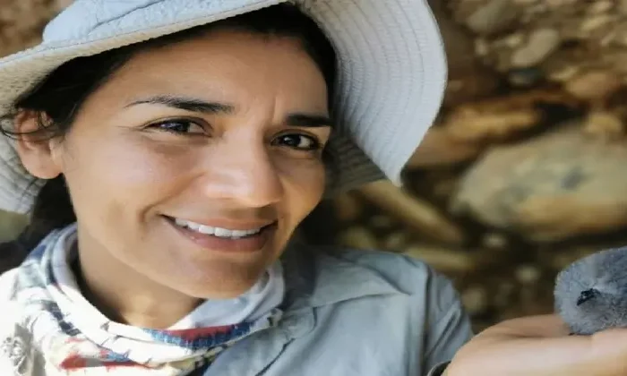 Bióloga mexicana gana el ‘Oscar Verde’ por protección de aves marinas