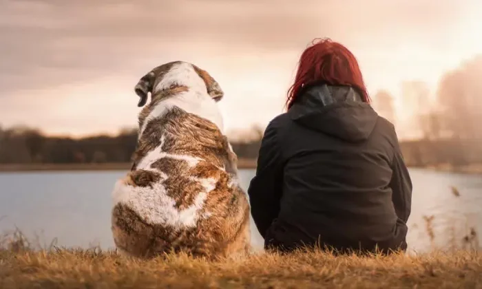 Canadá ofrece empleo de cuidar perritos; pagan 64 mil pesos