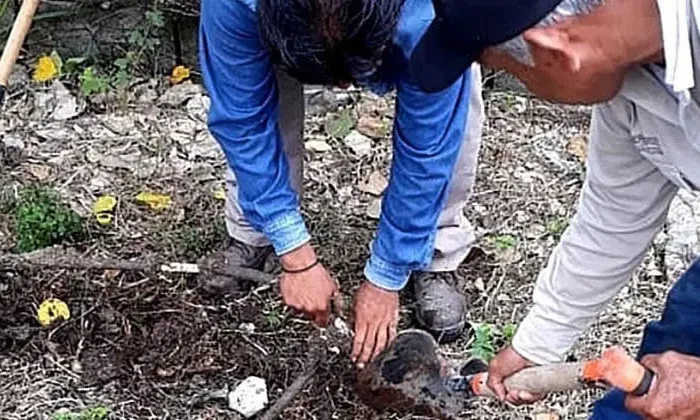 Multarán por robar el agua