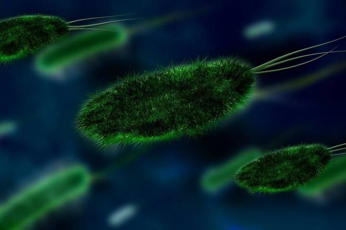 Confirman el primer caso de meningitis en Tamaulipas