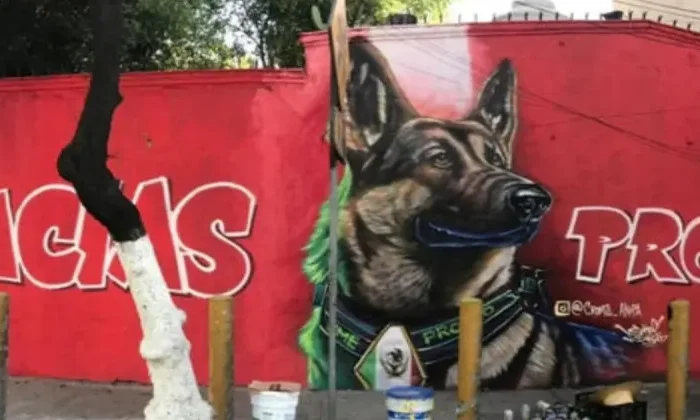 Discípulos de Frida y Proteo ayudan al mundo