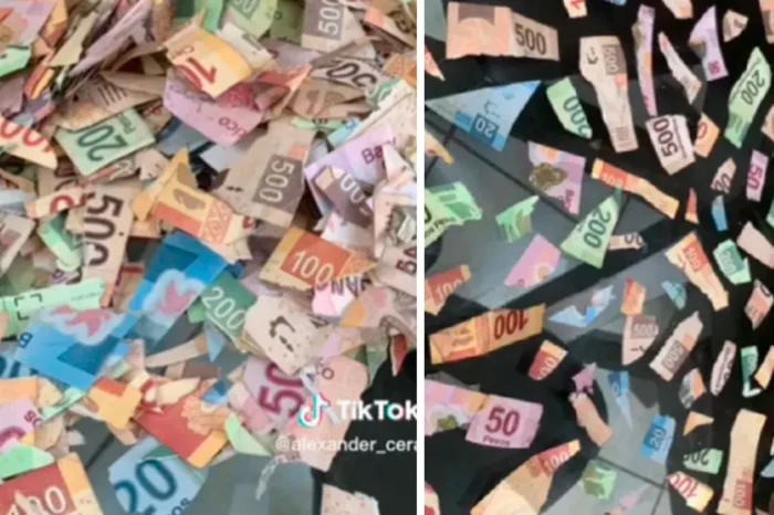 Niña de 4 años encuentra ‘papelitos de colores’ y los recorta