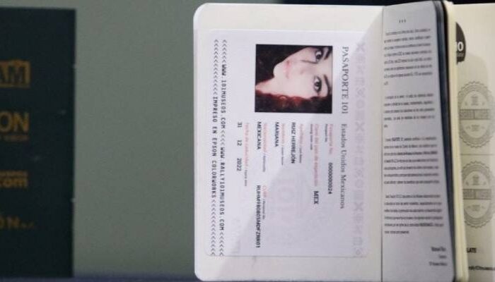 ¿Cuánto dinero debes invertir para tramitar tu pasaporte y visa?