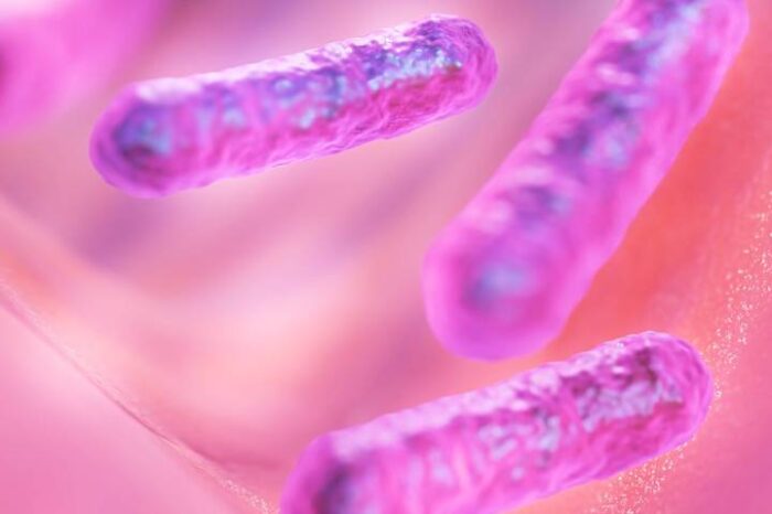 Aumentan a 16 los posibles contagios de meningitis en Tamaulipas