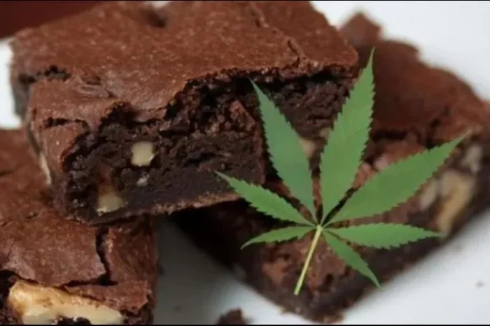 Se intoxican alumnos por comer brownies de marihuana, en Guerrero