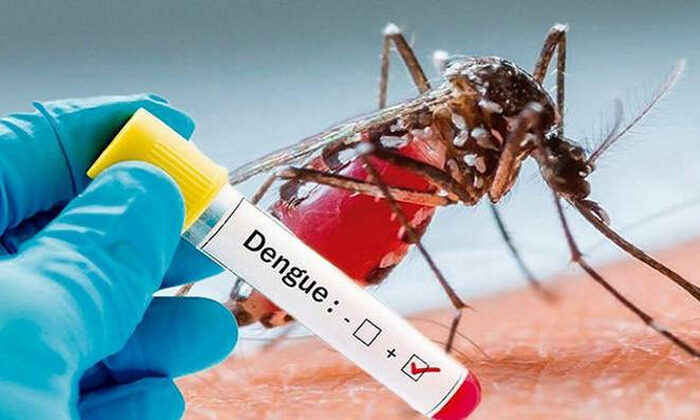 Cuídese del dengue, hay 26 casos en Tamaulipas