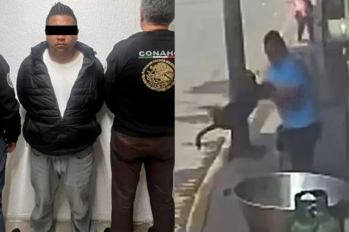 Asesino de perrito lloró luego que jueza le negó fianza; dice estar arrepentido