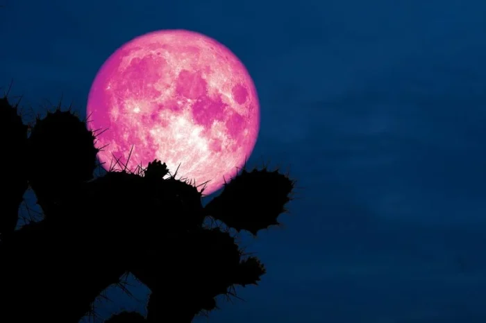 Luna de Fresa: El origen de su nombre y cuándo se podrá ver en 2023