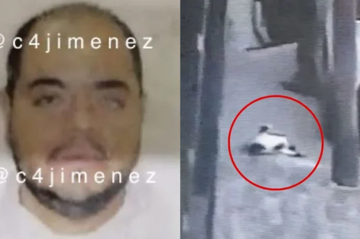 Detienen a hombre que mató de un balazo a un gato en Edomex