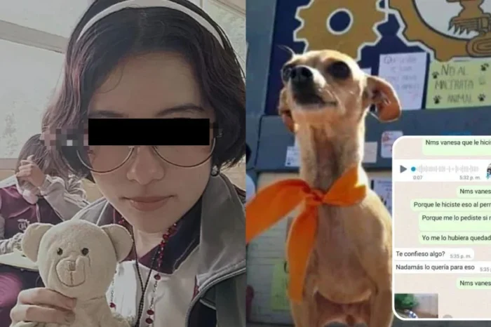 Denuncian a joven que asesinó a perrito recién adoptado en Puebla