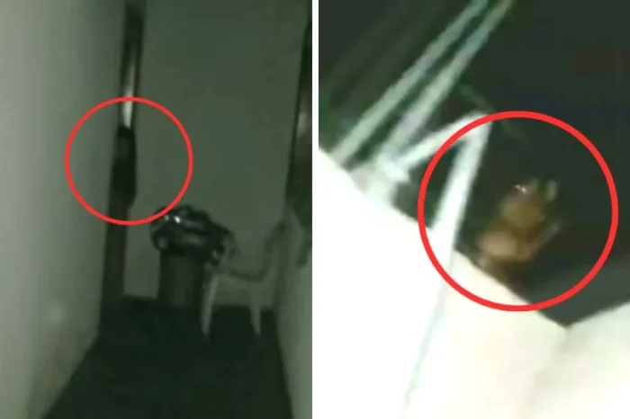 YouTuber logra captar un aterrador fantasma dentro de su casa