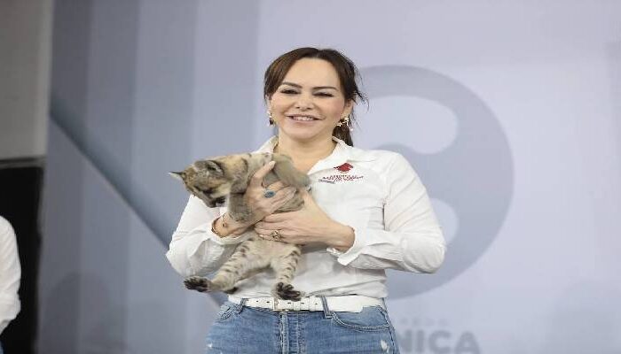 Nace pumita en el zoológico de Nuevo Laredo