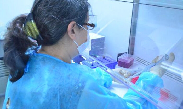 Tamaulipas reporta 27 contagios de Covid-19