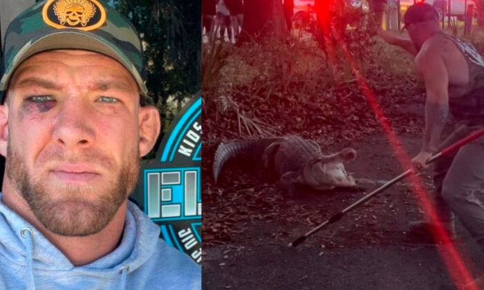 Luchador atrapa caimán con sus propias manos